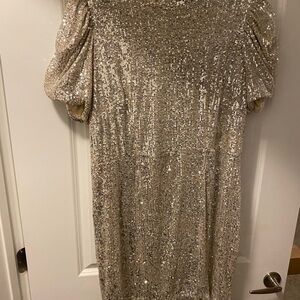 Elegant Sequin Dress